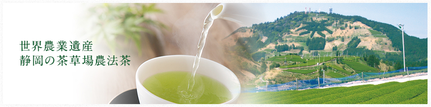 摘みたて新茶のインスタントティー 世界農業遺産 静岡の茶草場農法茶